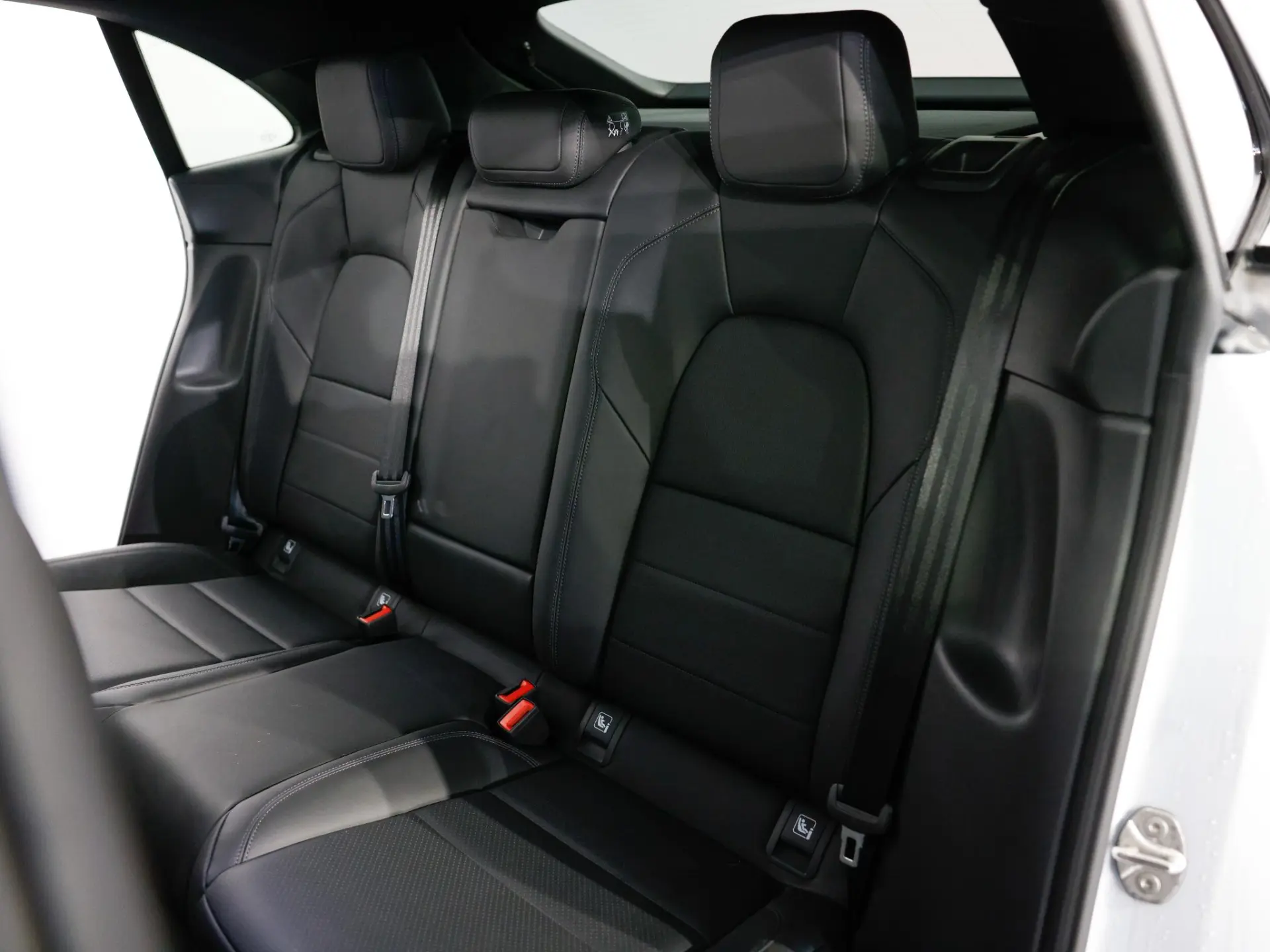 Macan 