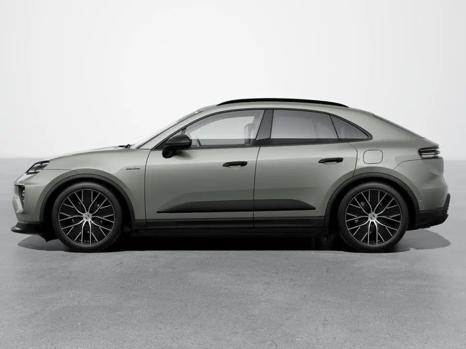 Macan 