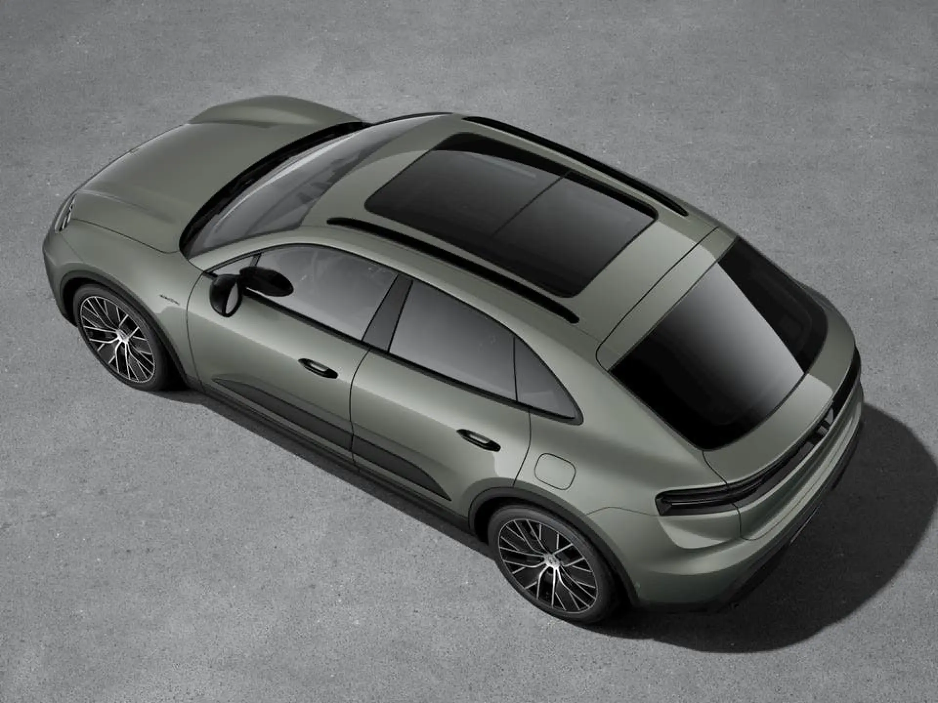 Macan 