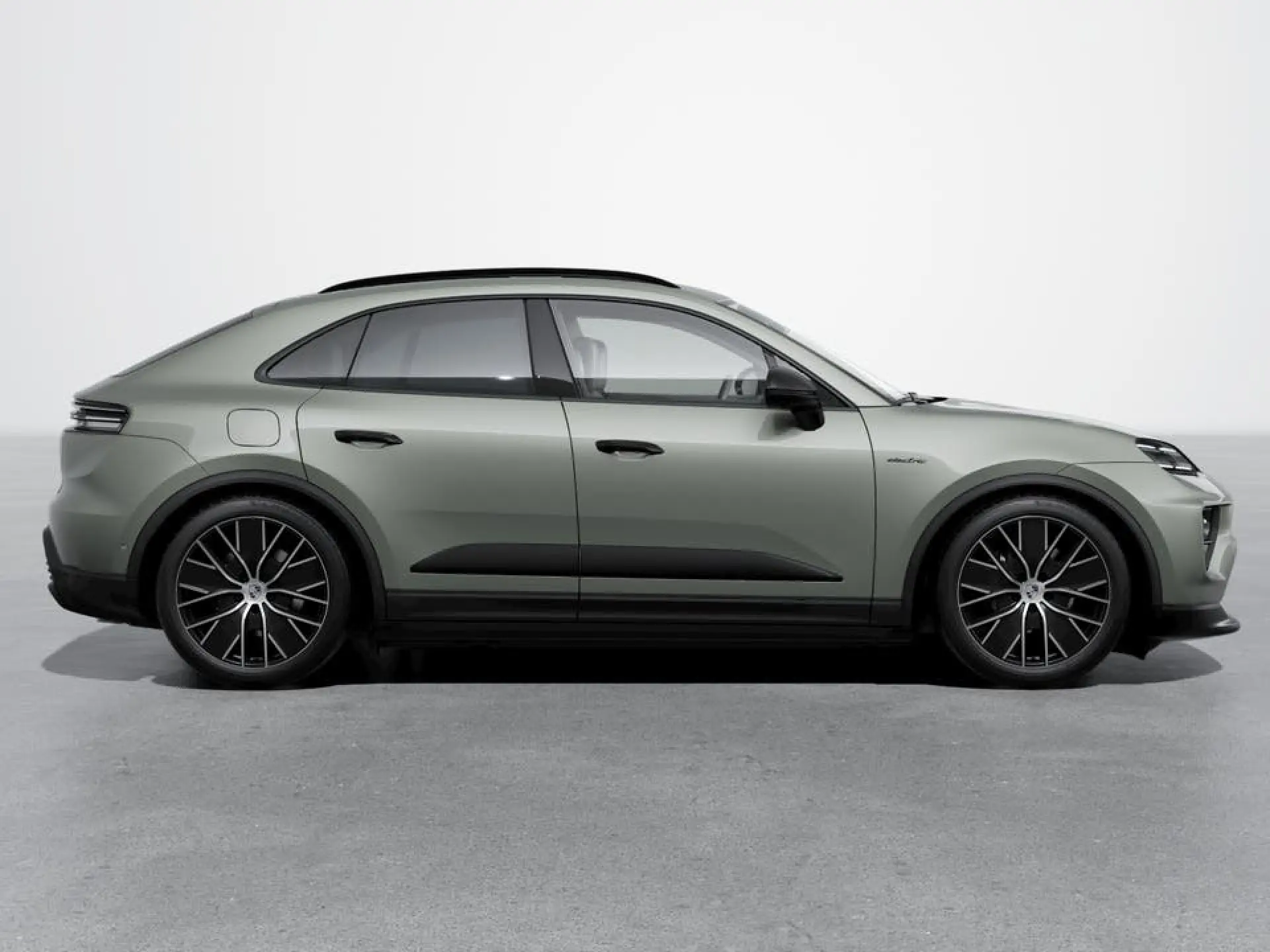 Macan 