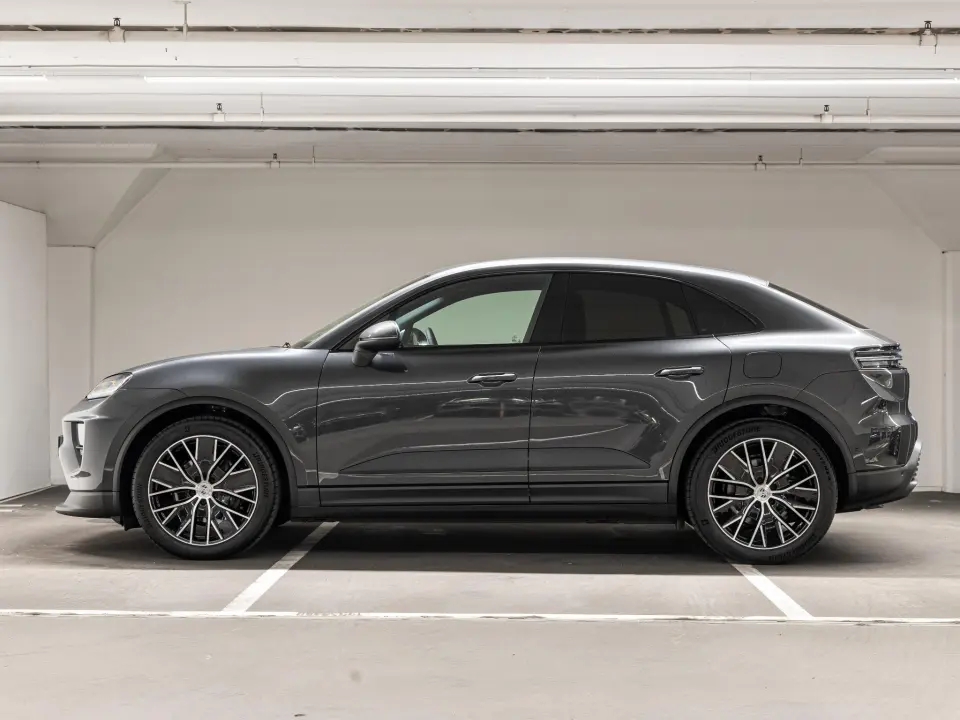 Macan 