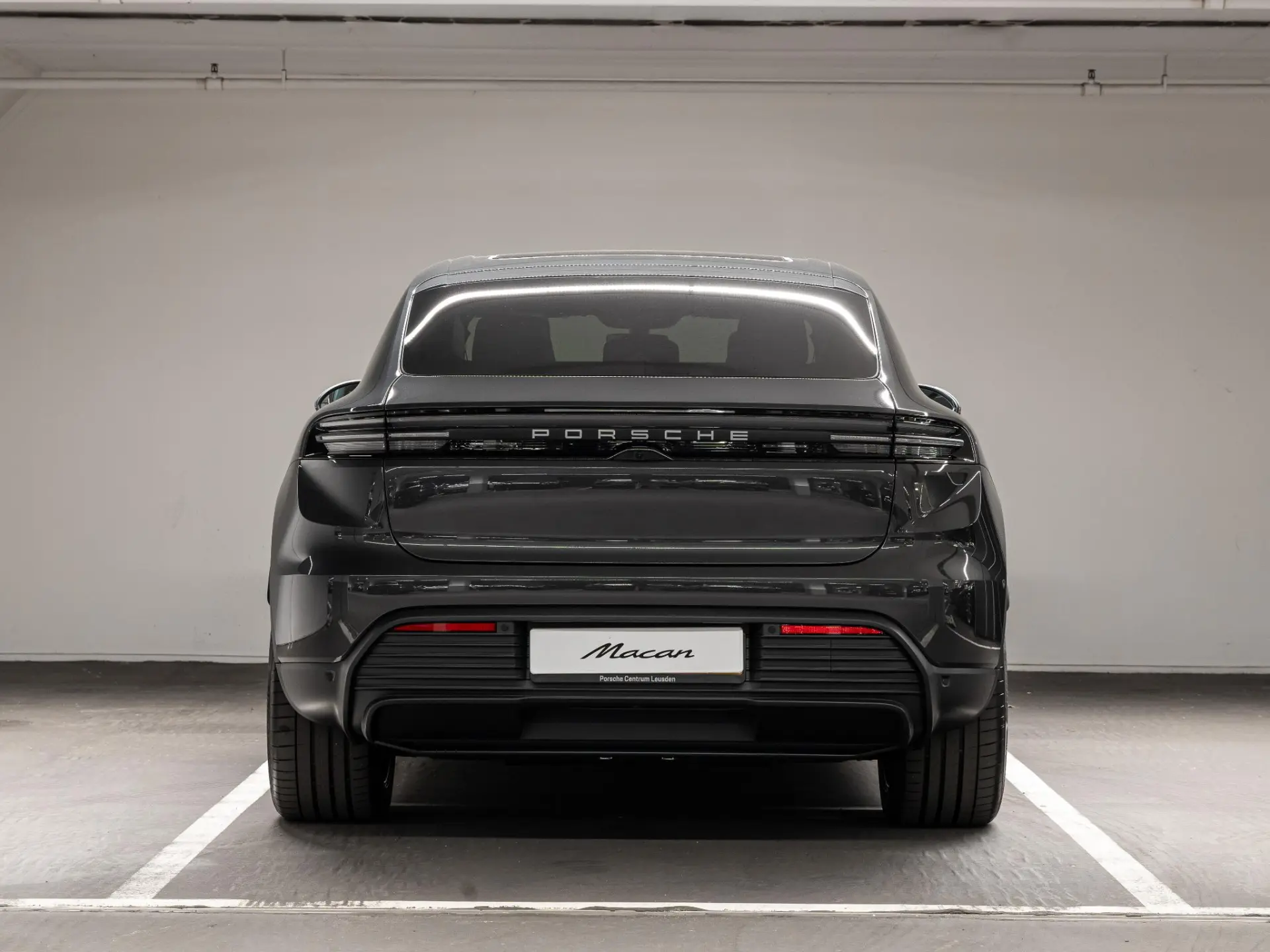 Macan 