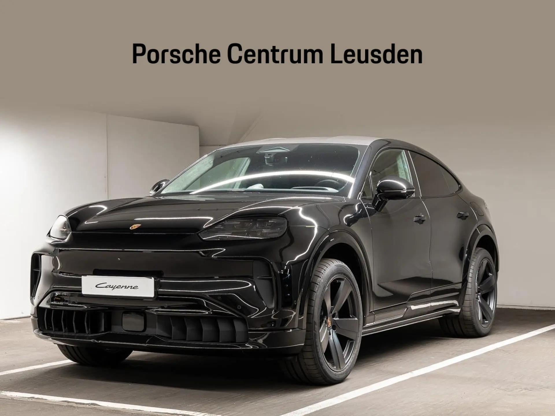 Cayenne Electric 113 kWh