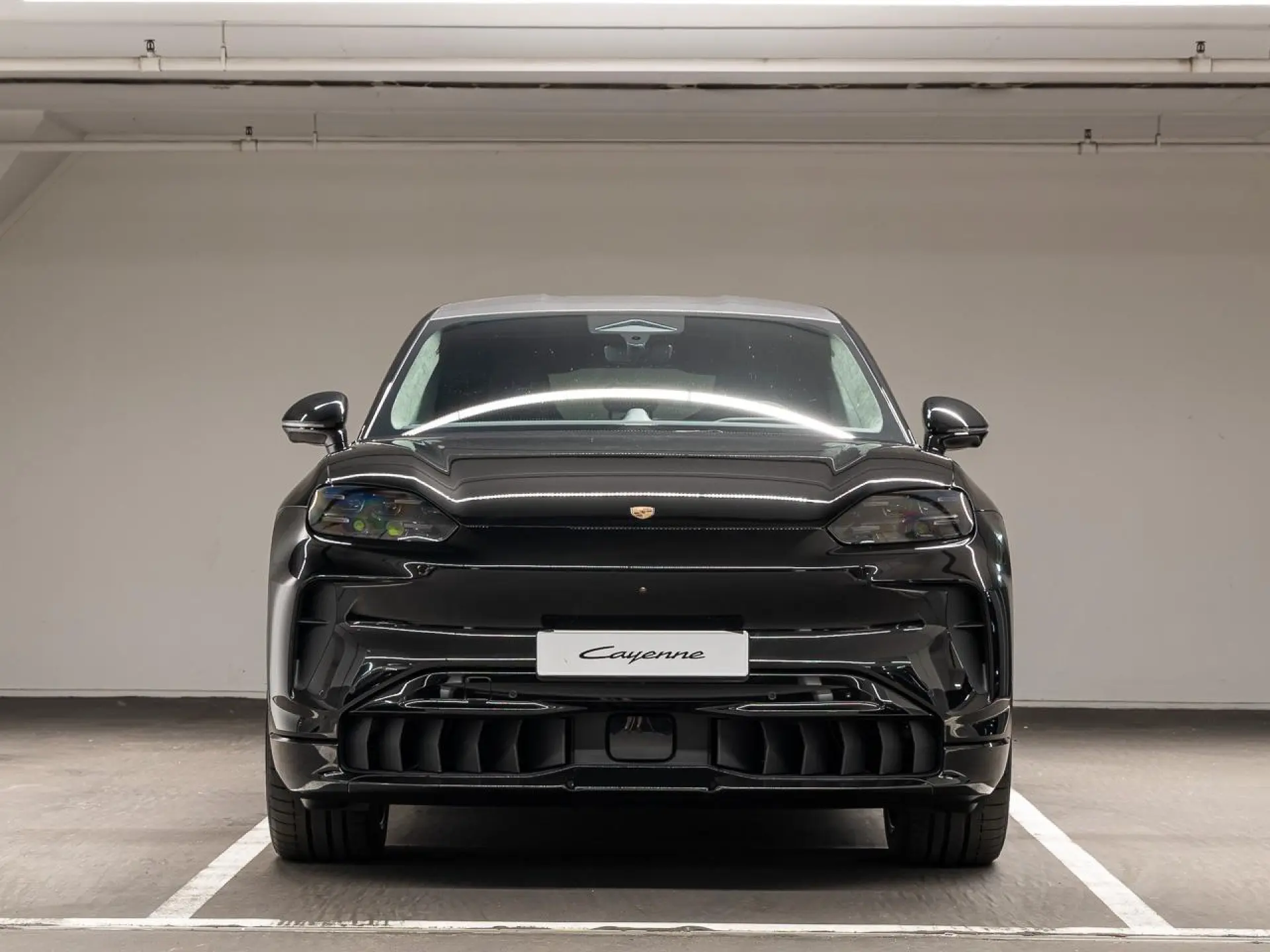 Cayenne Electric 113 kWh