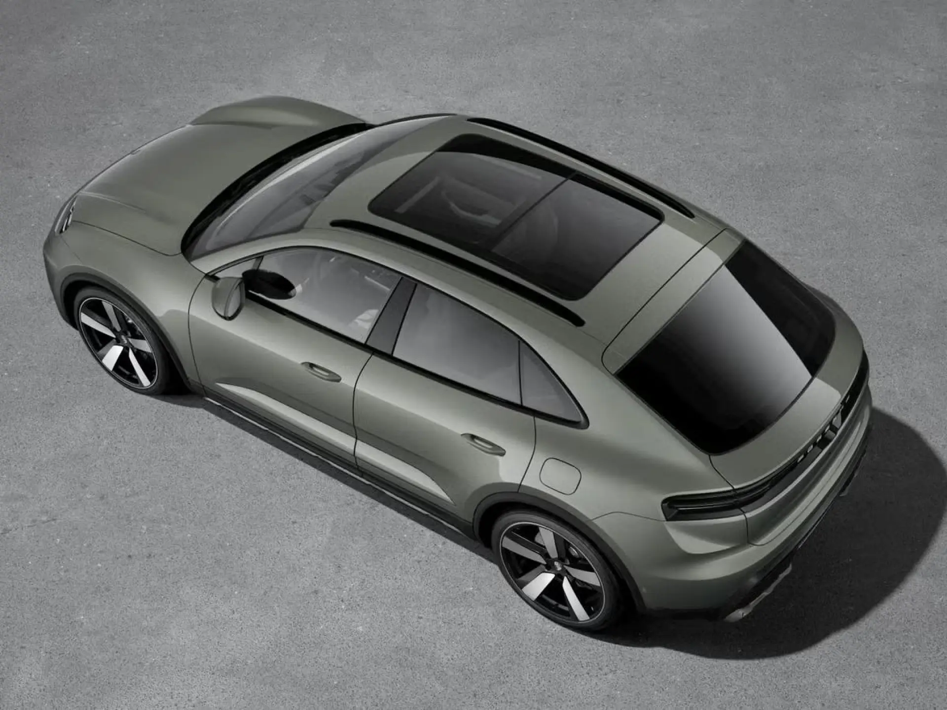 Macan 