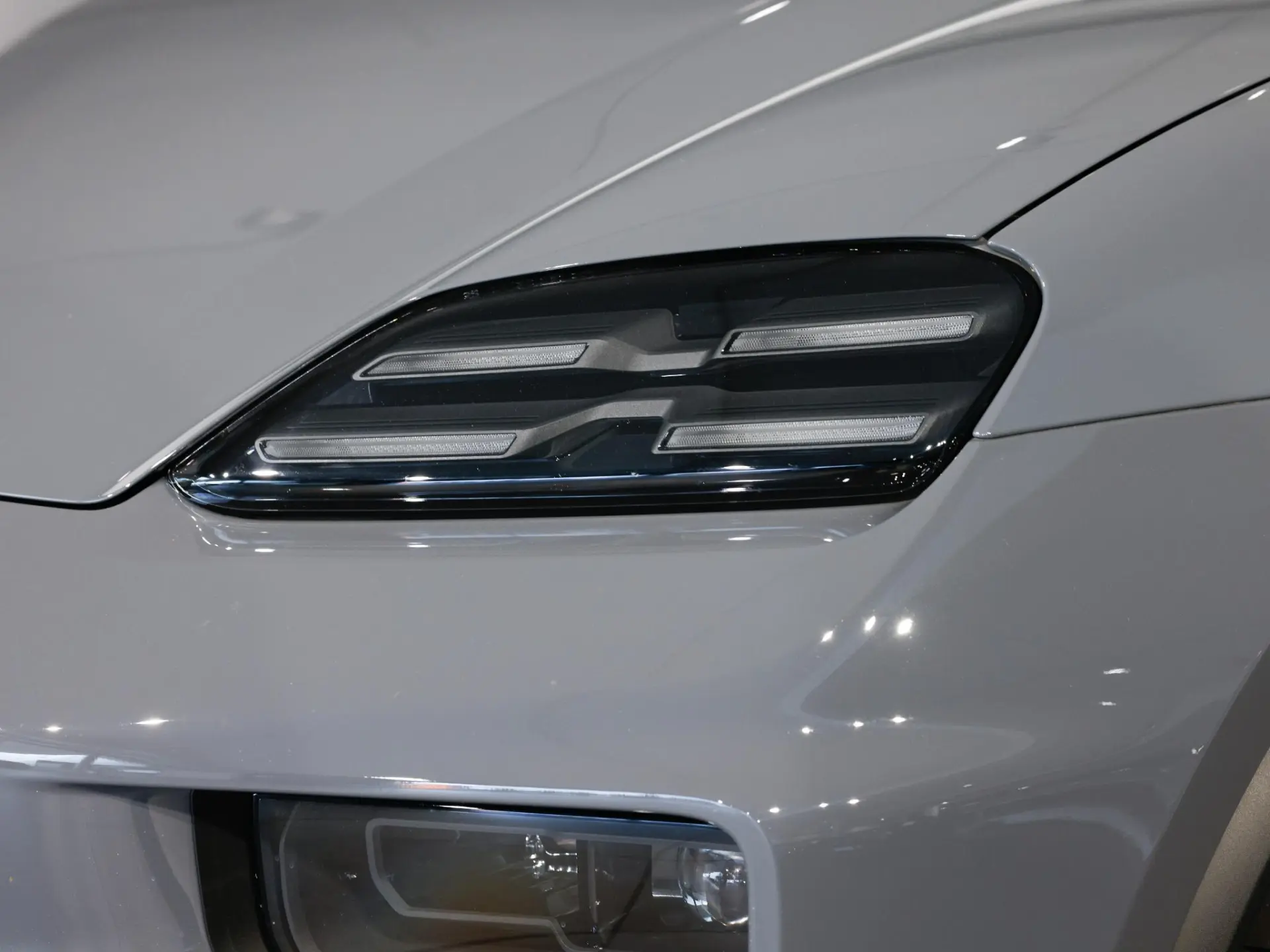 Macan 