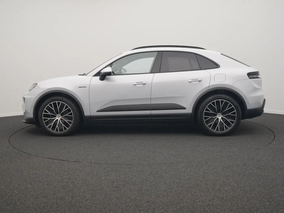 Macan Macan 4