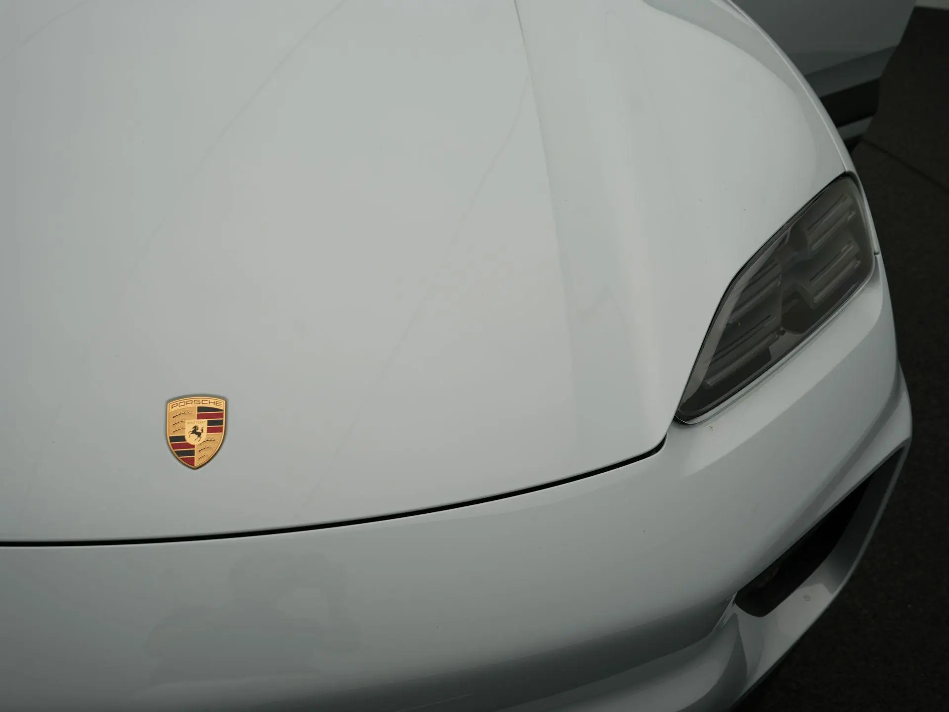 Macan Macan 4
