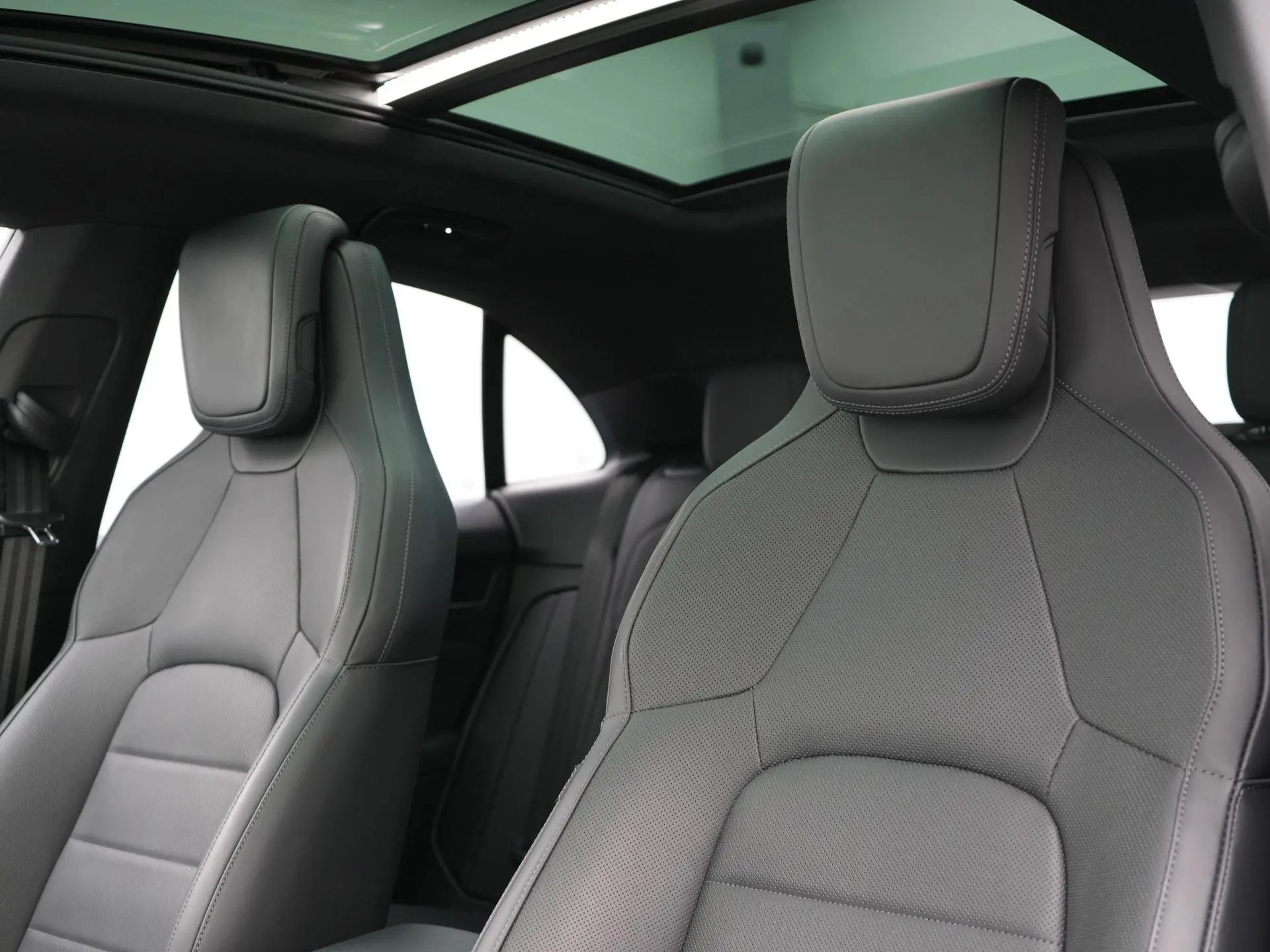 Macan Macan 4