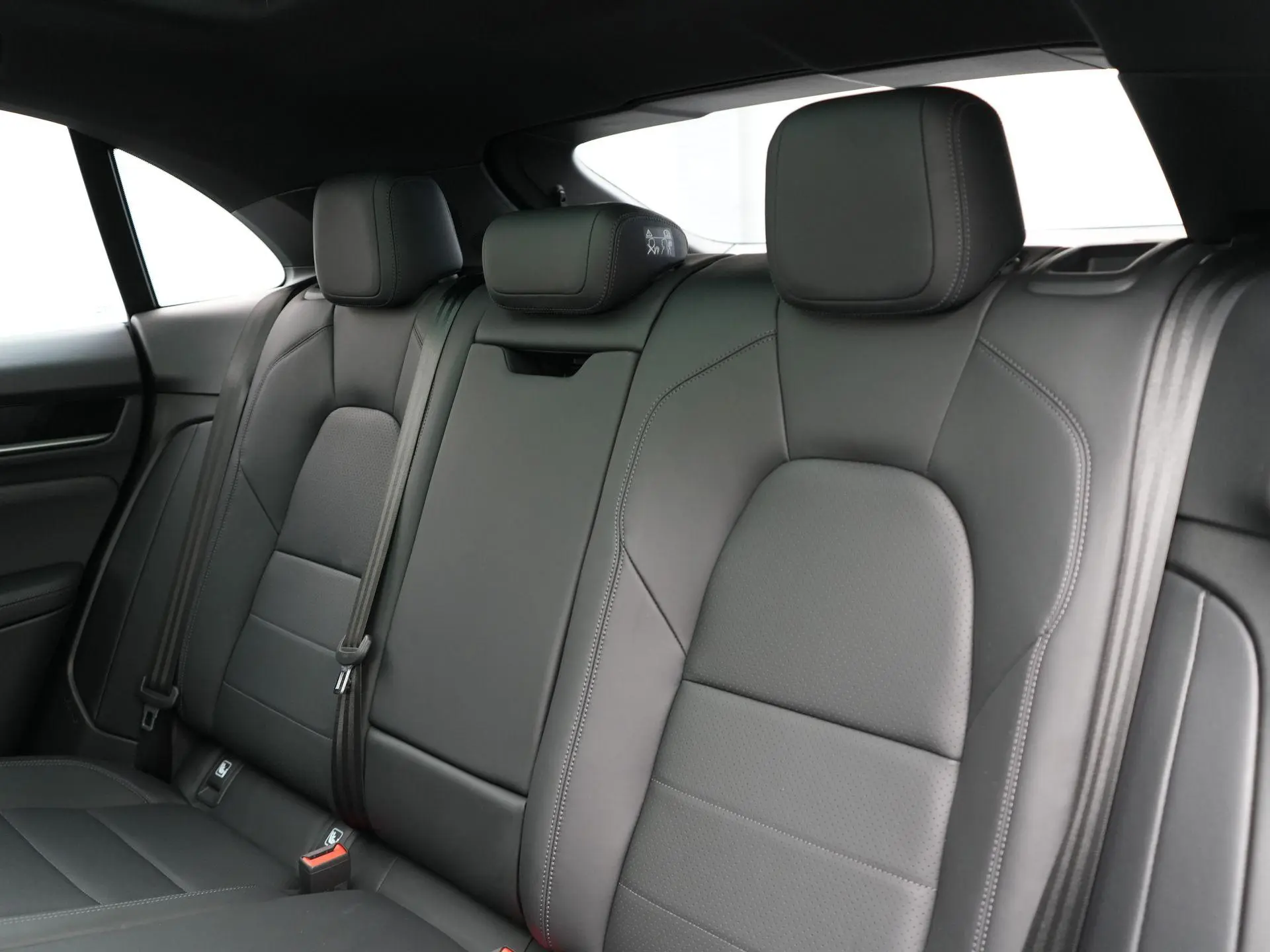 Macan Macan 4