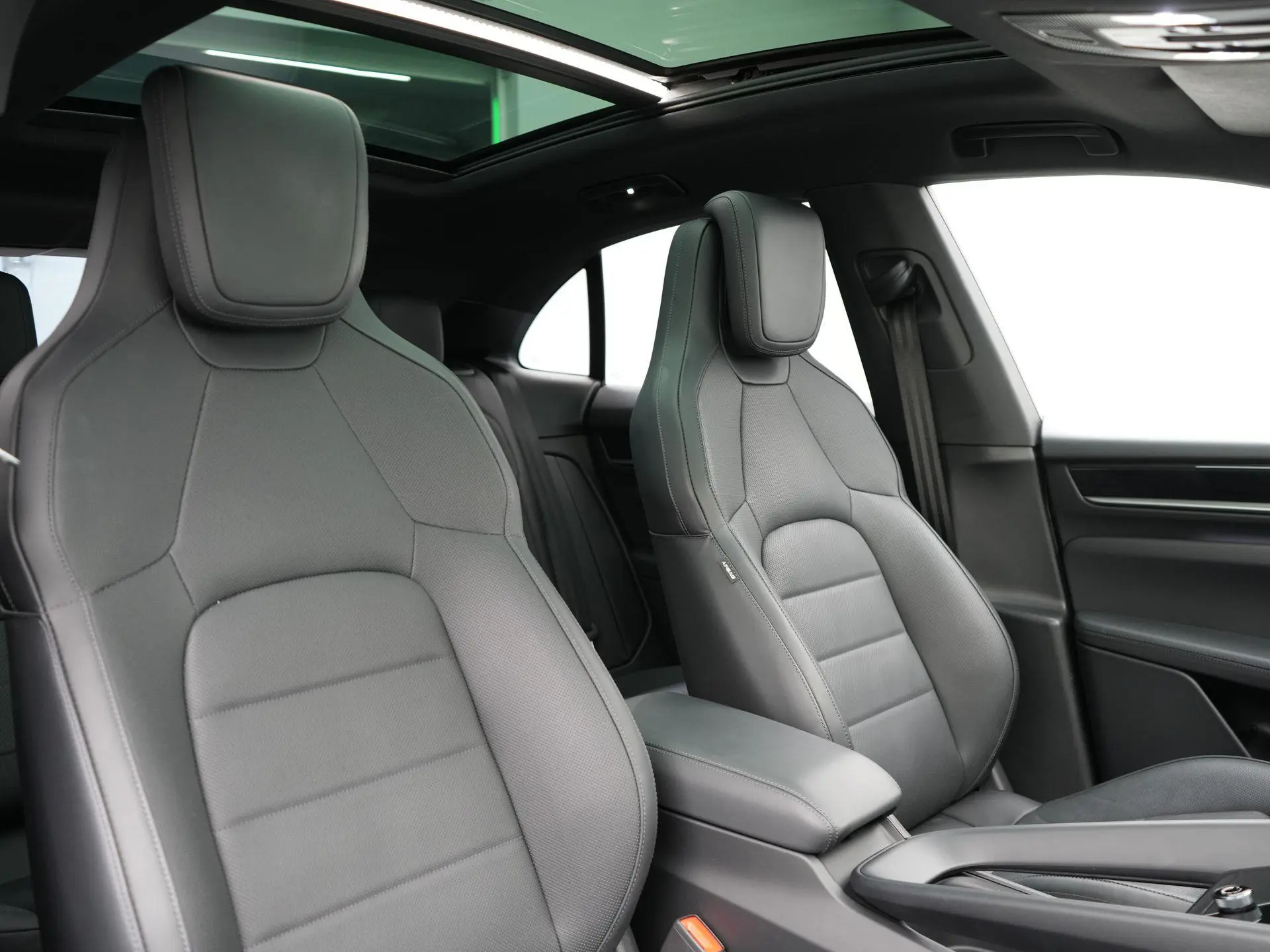 Macan Macan 4