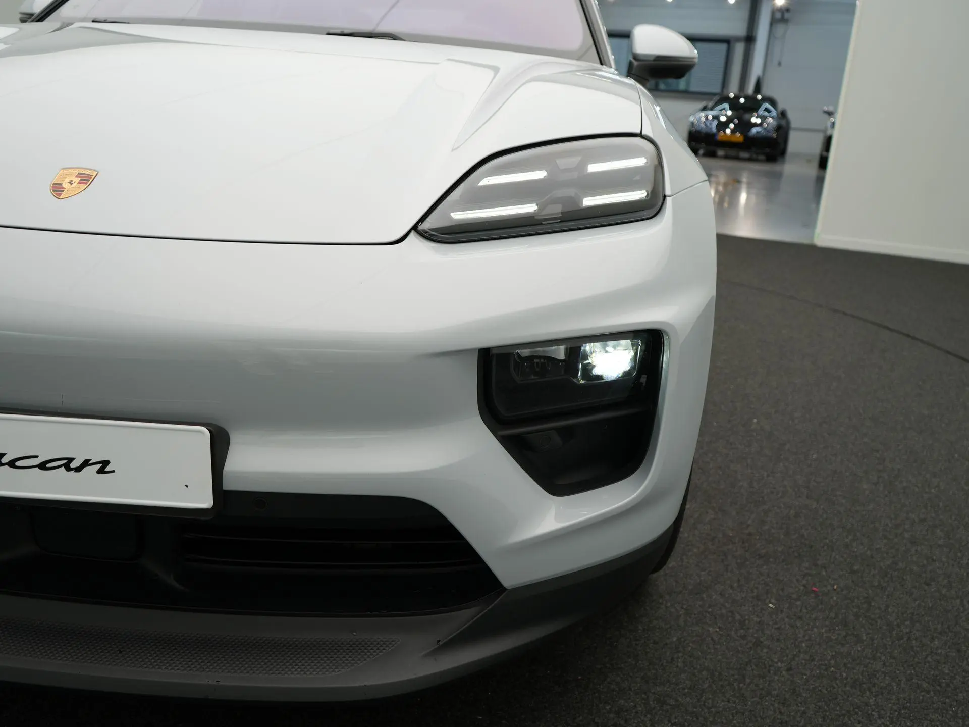 Macan Macan 4