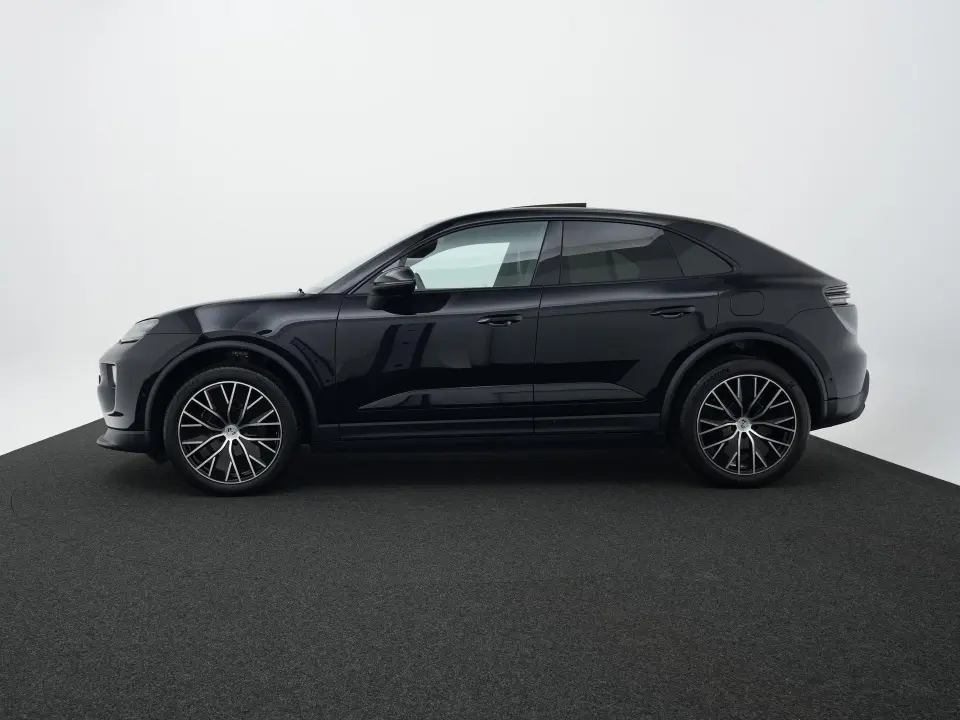 Macan 