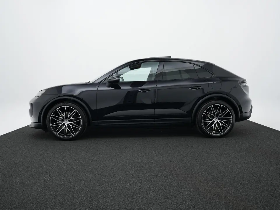 Macan 