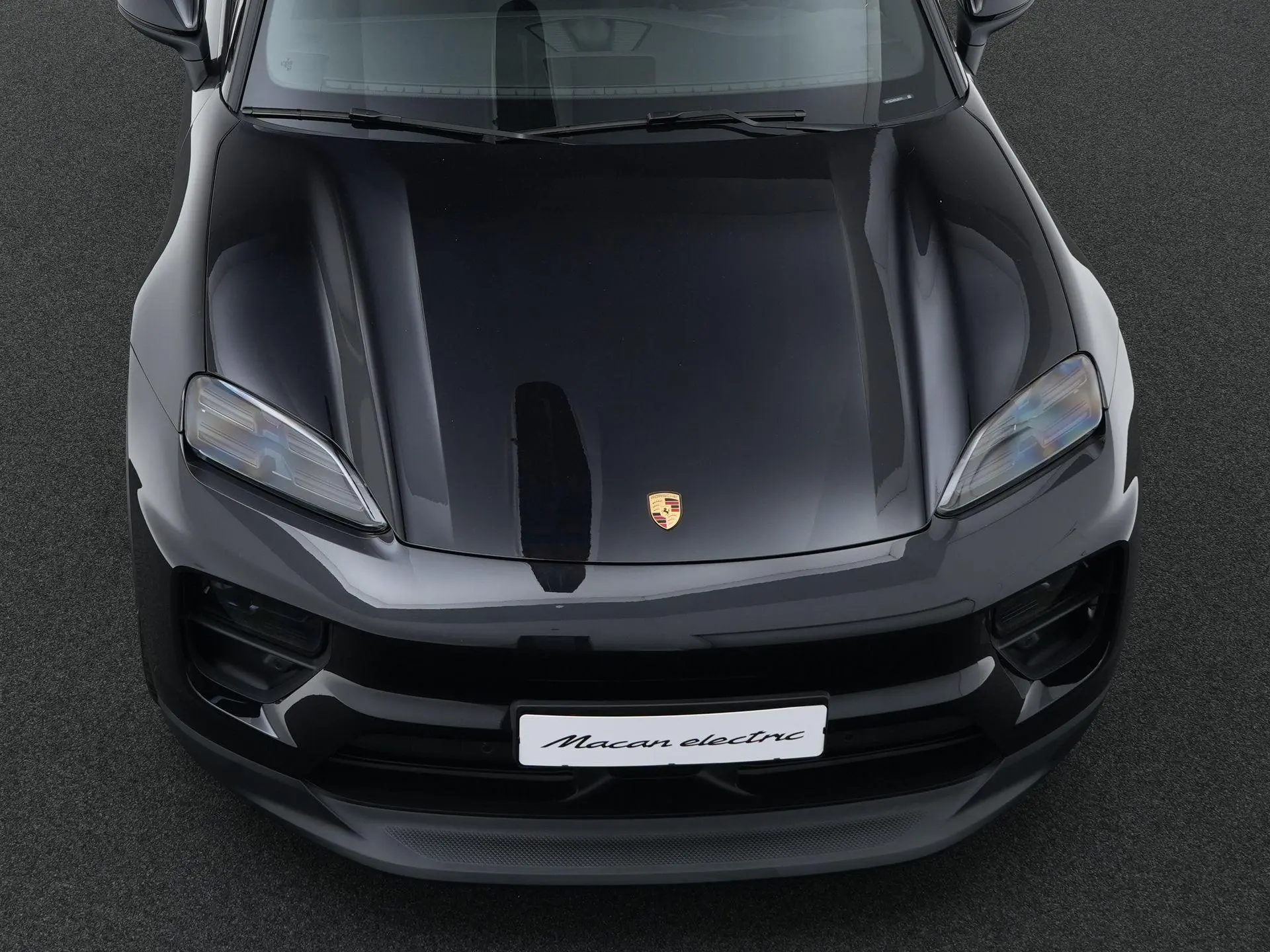 Macan 