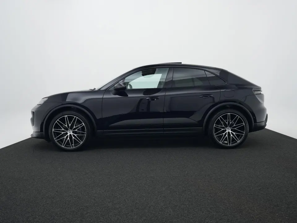 Macan 