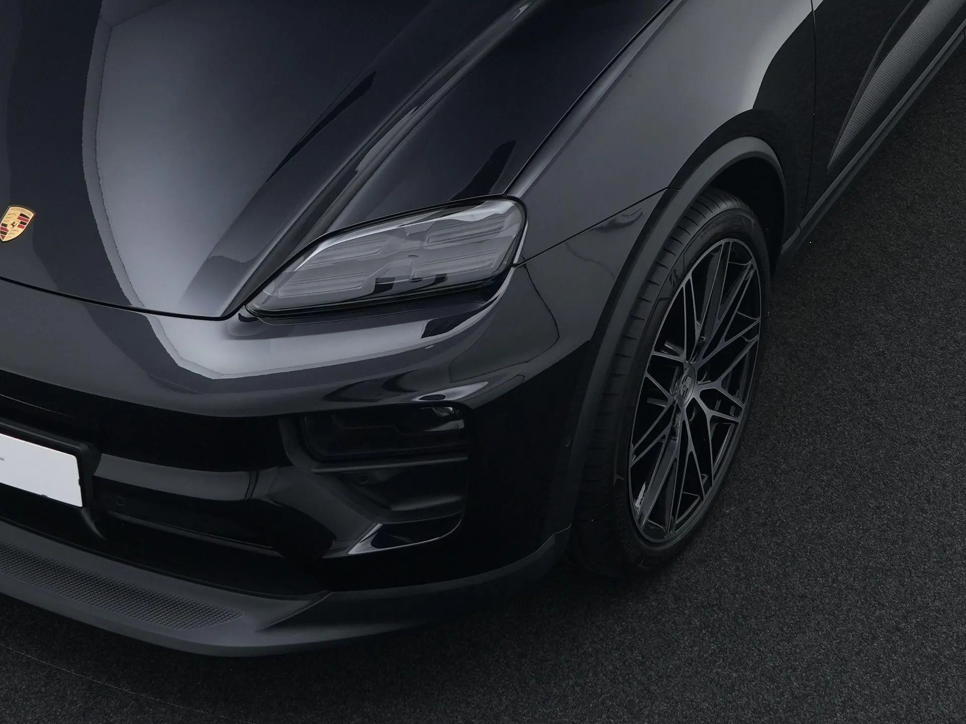 Macan 