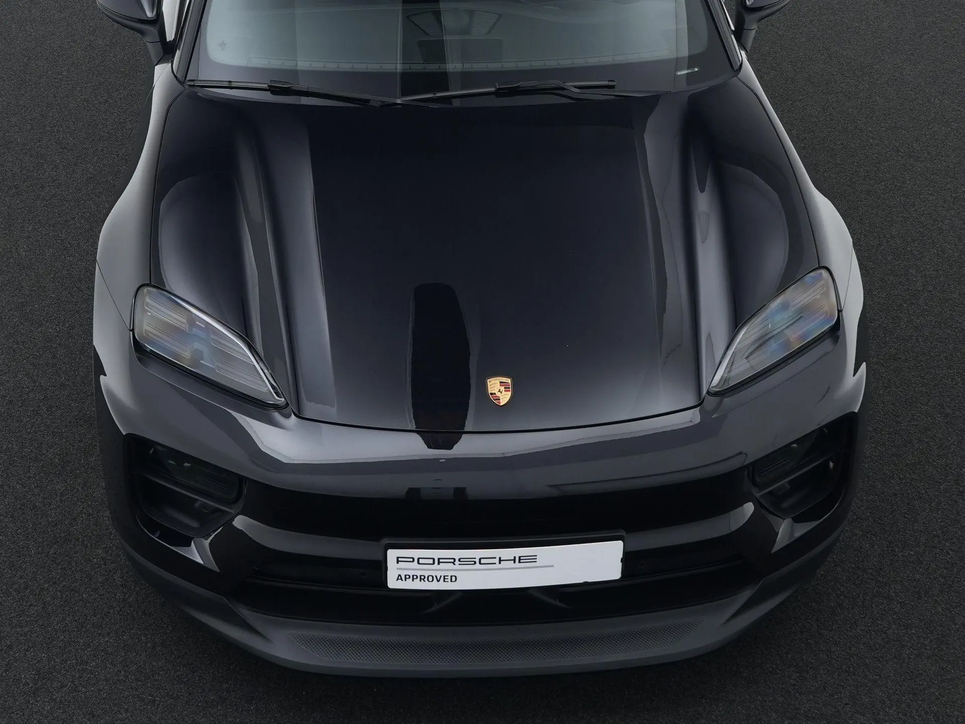 Macan 