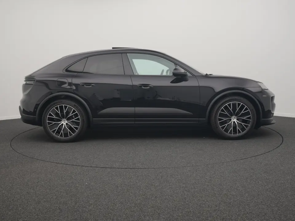 Macan 