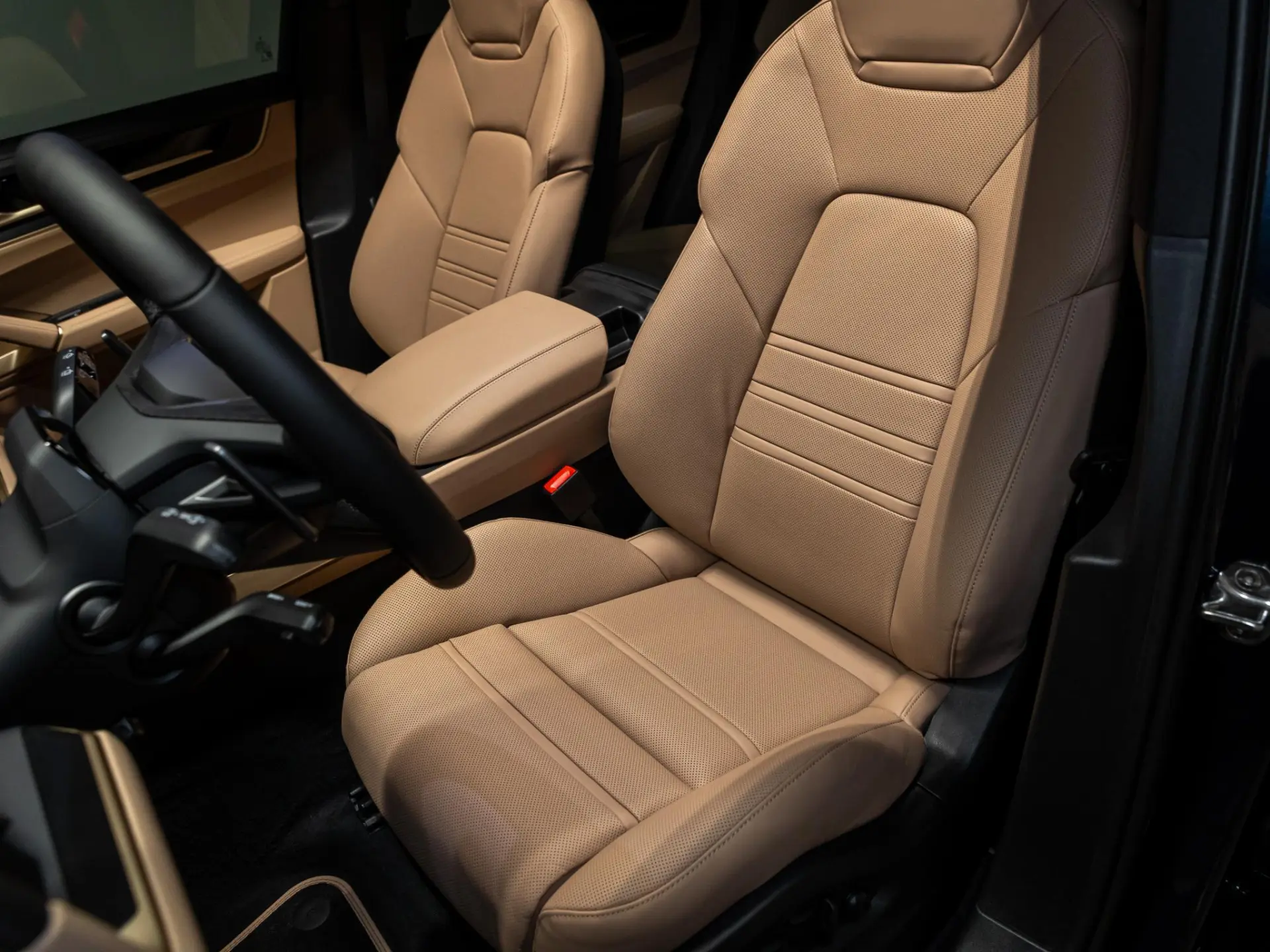Cayenne E-Hybrid Black Edition