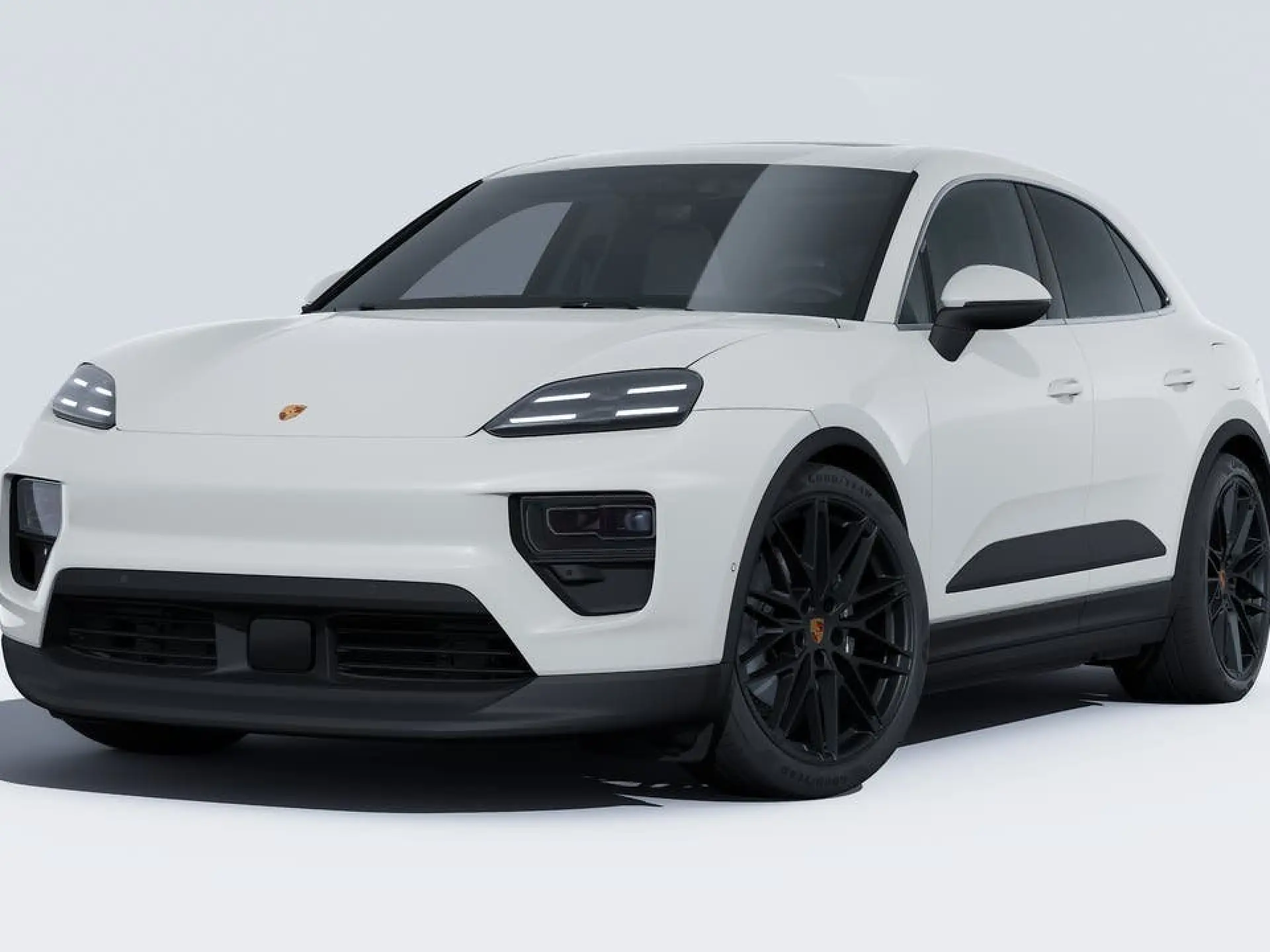 Macan 