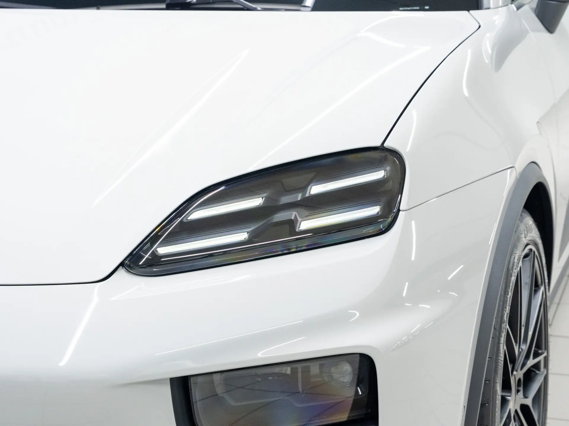 Macan 