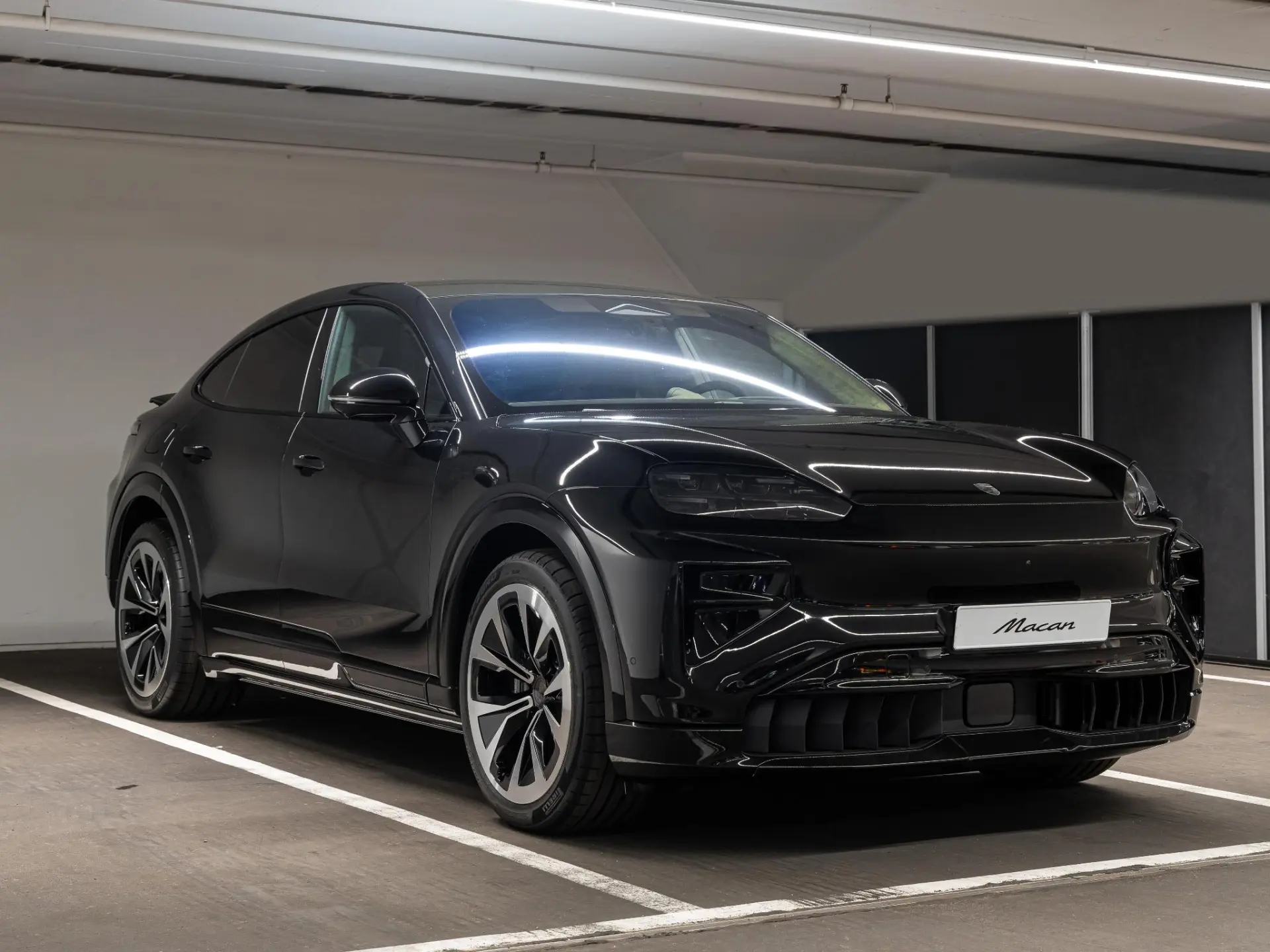 Cayenne Electric Turbo 113 kWh