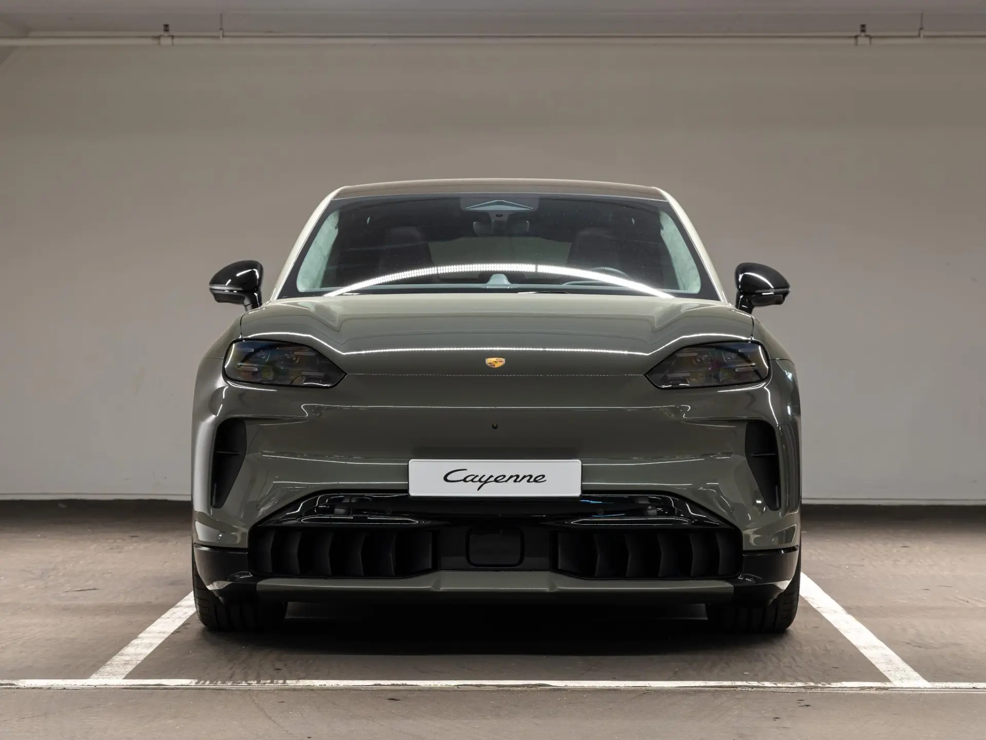 Cayenne Electric S 113 kWh