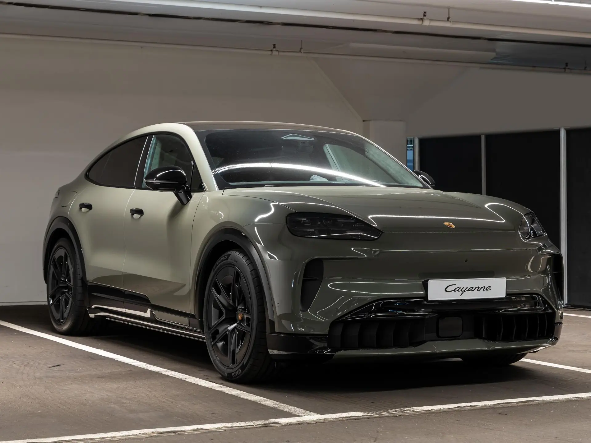 Cayenne Electric S 113 kWh