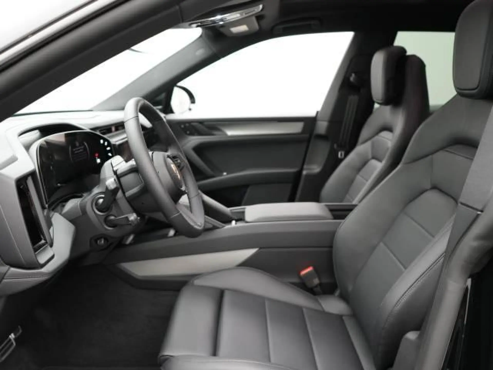Cayenne Electric S