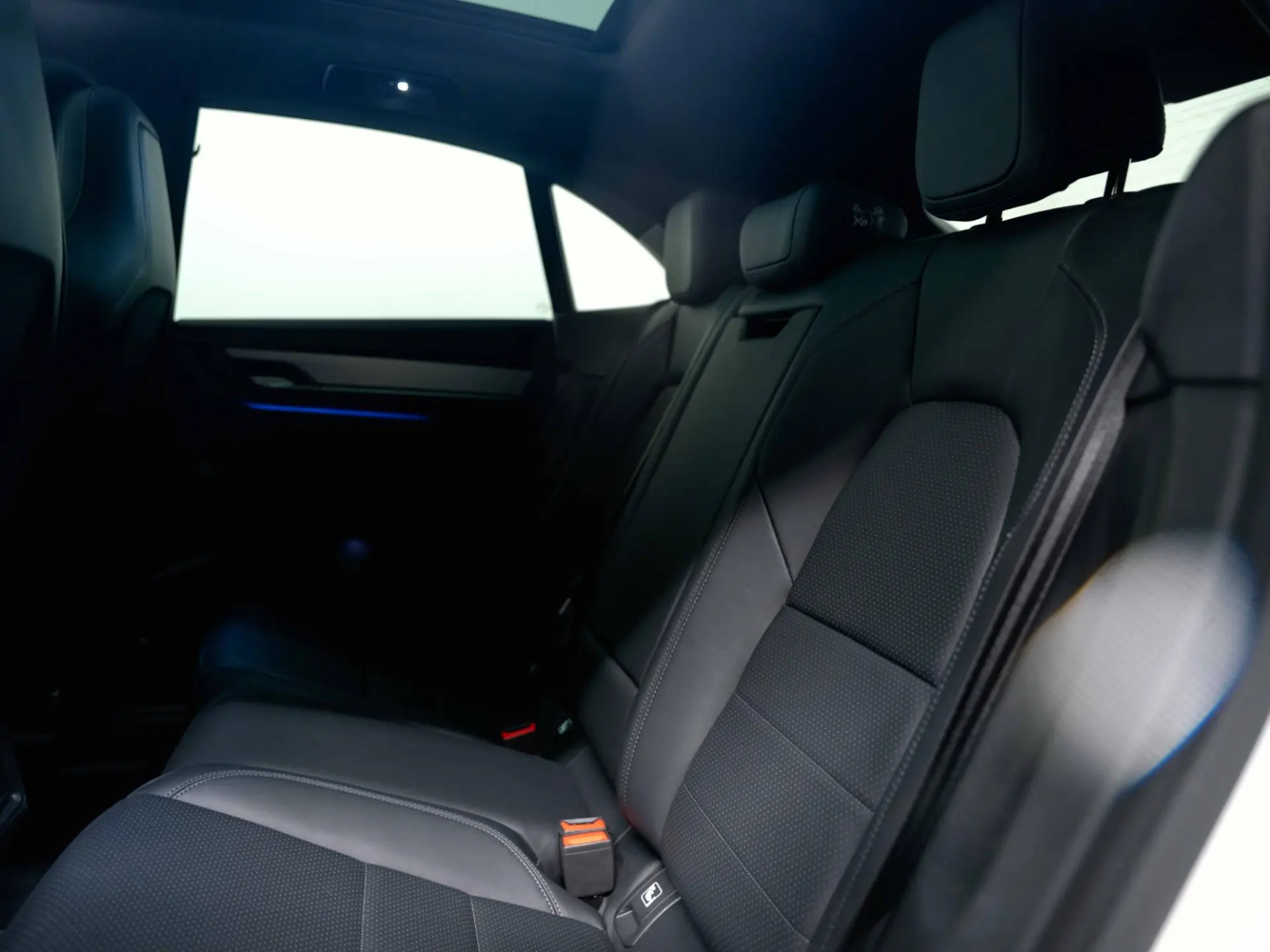 Macan 4