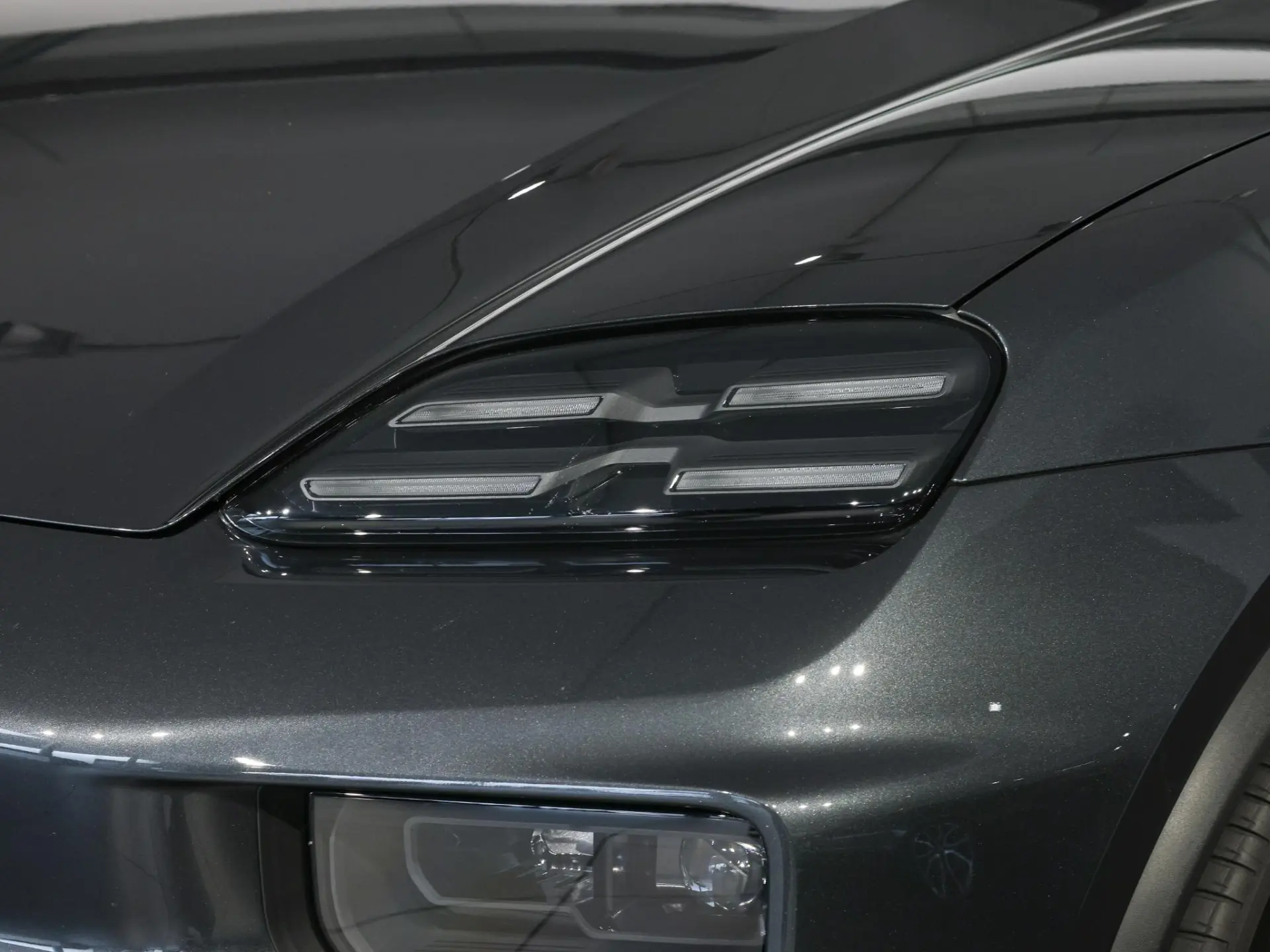 Macan 