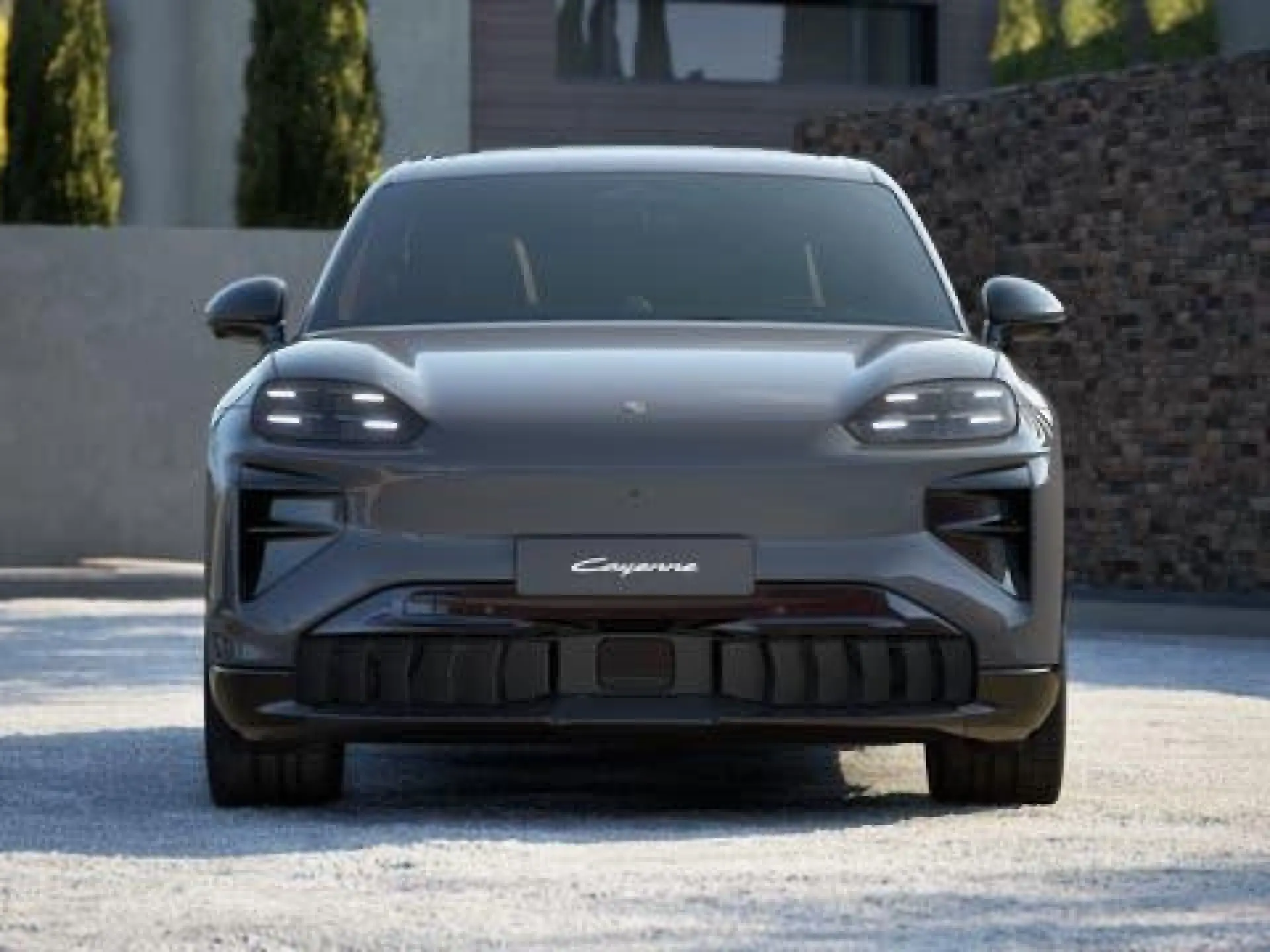 Cayenne Electric Turbo