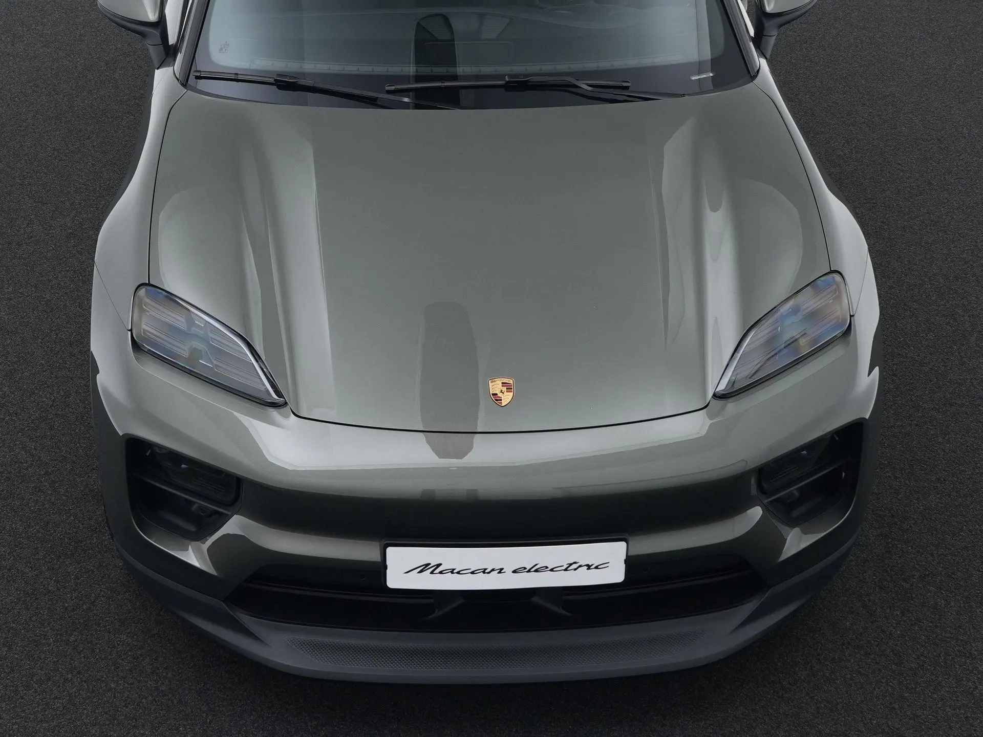 Macan 