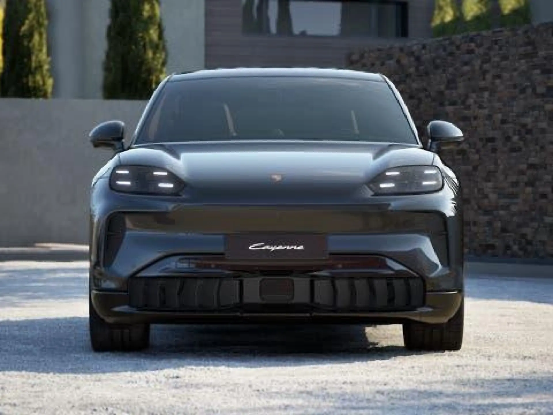 Cayenne Electric S